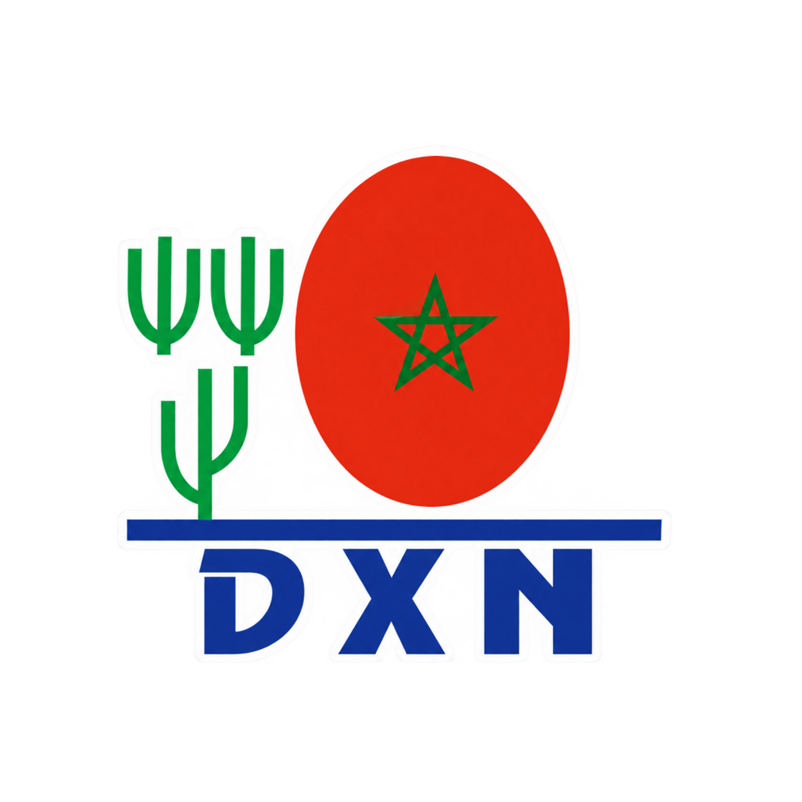 DXN logo with a small green Moroccan star in the red circle